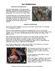 Eichhörnchen-Steckbrief-1-3.pdf